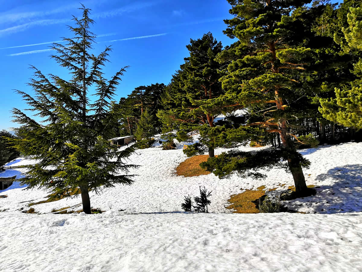 Que ver y hacer en la Sierra de Madrid